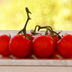 ripe tomatoes on a window sill